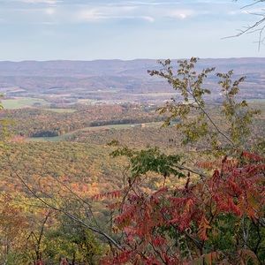Meet your Posher, Cathy